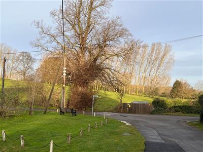 Picture 10
